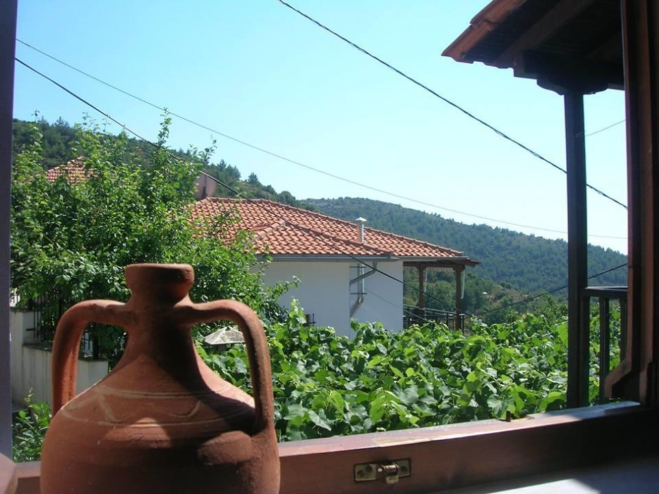 Athina'S House Guest House สกาลาโซติรอส ภายนอก รูปภาพ